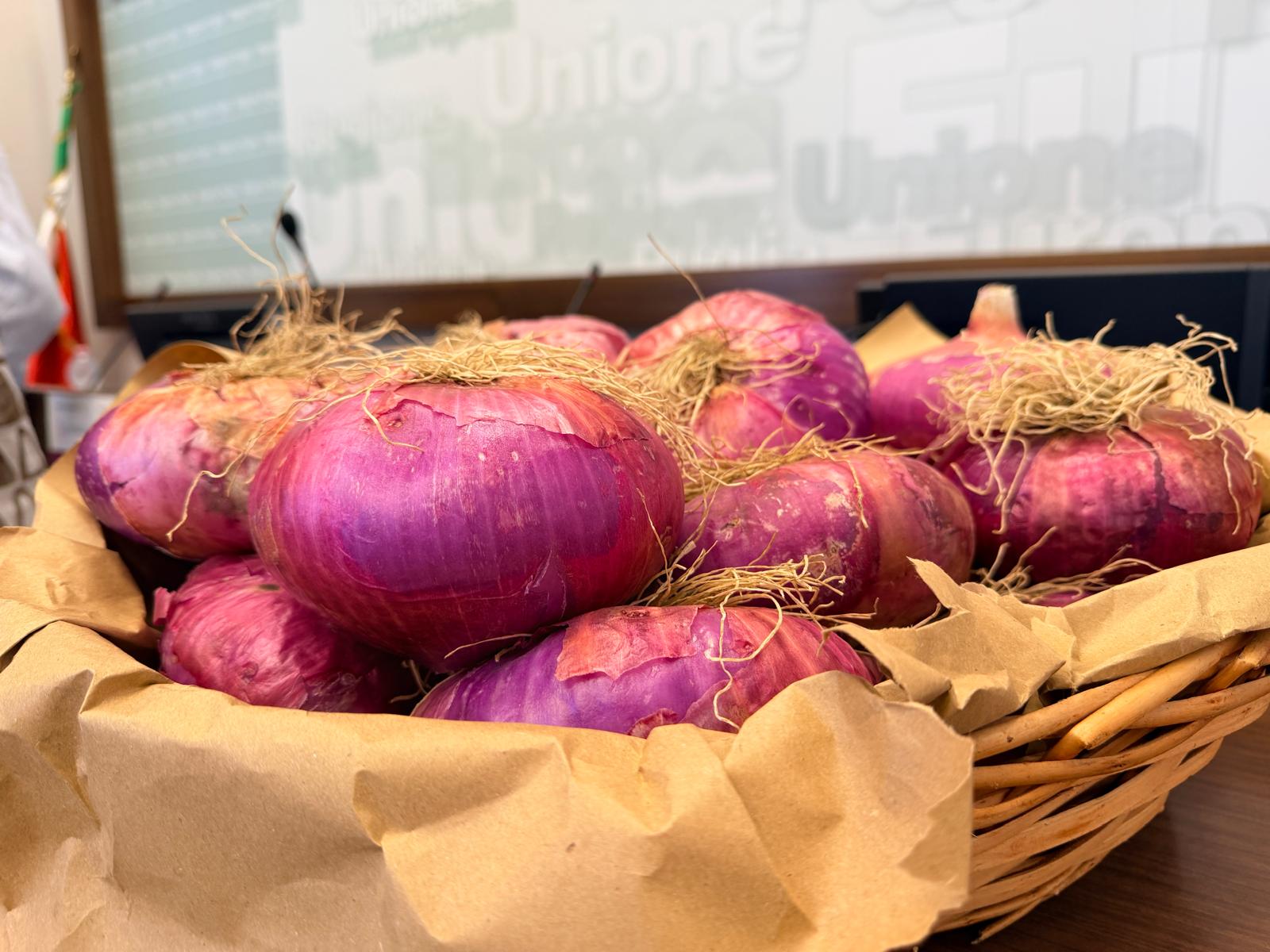 Galleria La Cipolla Rossa di Acquaviva celebra 25 anni di festa: tradizione, innovazione e identità del Sud Est Barese - Diapositiva 1 di 3