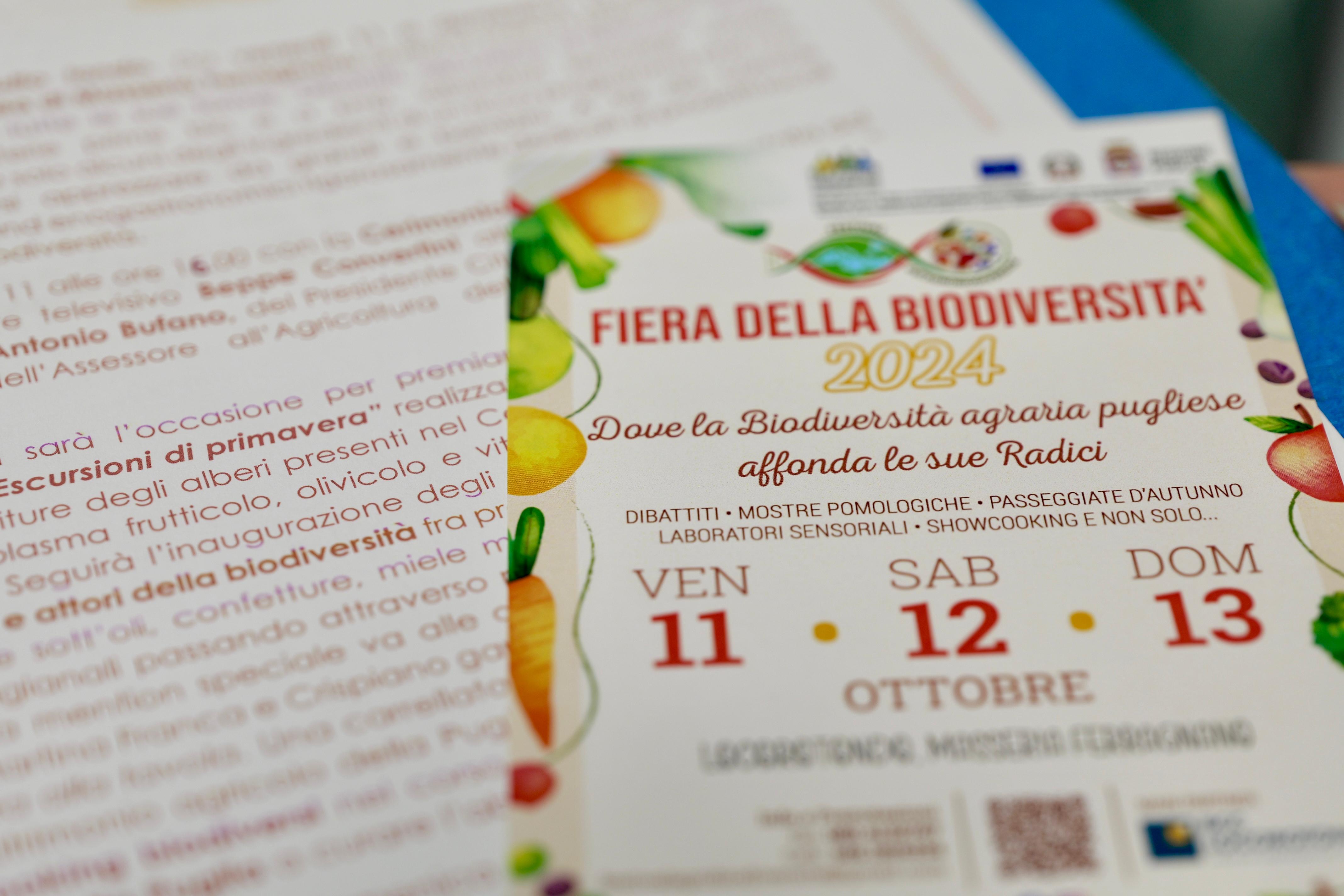 Galleria Al via la I edizione Fiera della Biodiversità a Locorotondo dall’11 al 13 ottobre - Diapositiva 10 di 13