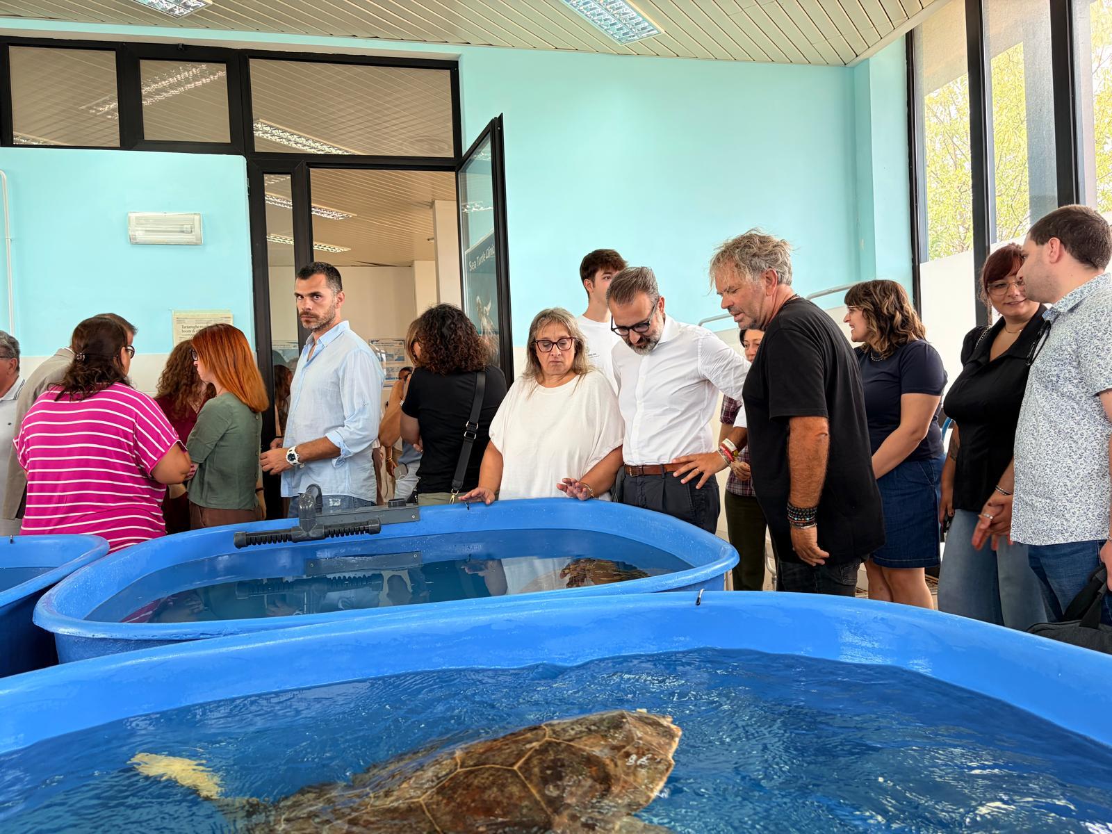 Galleria Tutela della fauna marina, Paolicelli inaugura a Valenzano la nuova Sea Turtle Clinic dell'Università di Bari - Diapositiva 3 di 3