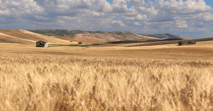 Agricoltura: Dichiarato Lo Stato Di Crisi - Agricoltura - Regione Puglia